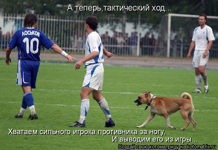 И выводим его из игры... А теперь,тактический ход... Хватаем сильного игрока противника за ногу,... Котоматрица: И выводим его из игры... А теперь,тактический ход... Хватаем сильного игрока противника за ногу,
