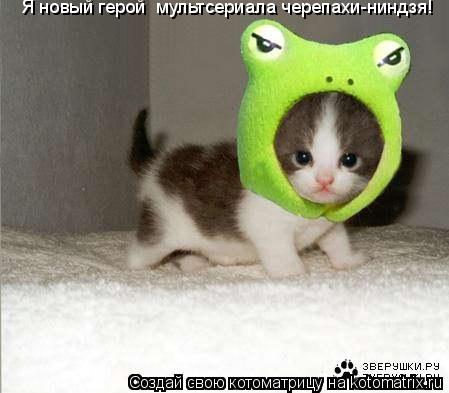 Я новый герой мультсериала черепахи-ниндзя!... Котоматрица: Я новый герой мультсериала черепахи-ниндзя!