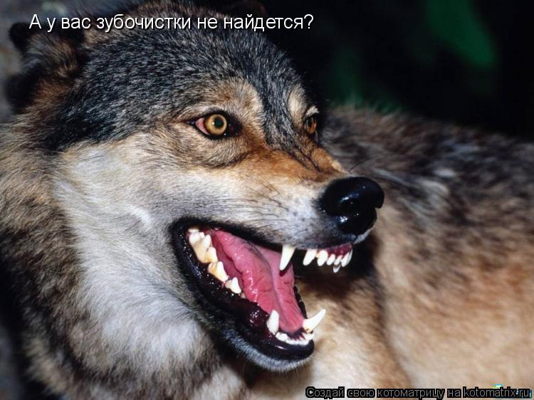 А у вас зубочистки не найдется?... Котоматрица: А у вас зубочистки не найдется?