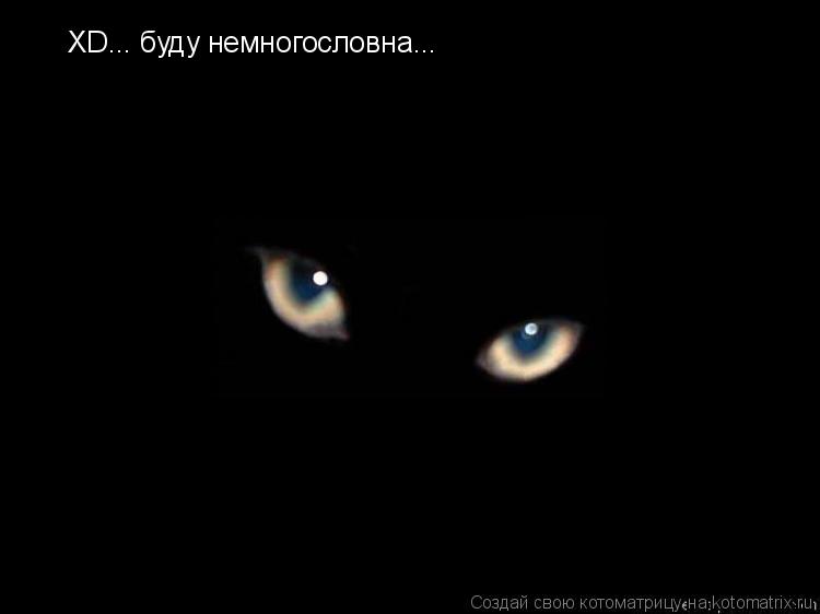 XD... буду немногословна...... Котоматрица: XD... буду немногословна...