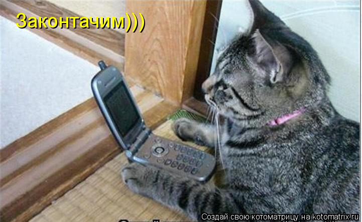 Законтачим)))... Котоматрица: Законтачим)))