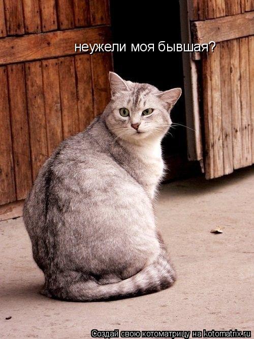 неужели моя бывшая?... Котоматрица: неужели моя бывшая?
