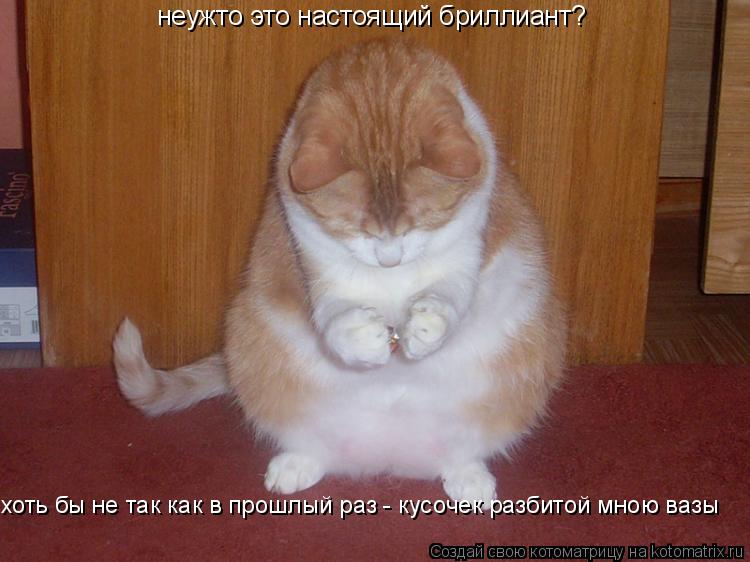 неужто это настоящий бриллиант? хоть бы не так как в прошлый раз - кусочек разбитой мною вазы... Котоматрица: неужто это настоящий бриллиант? хоть бы не так как в прошлый раз - кусочек разбитой мною вазы