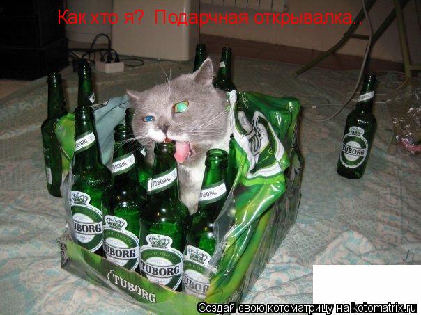 Как хто я? Подарчная открывалка..... Котоматрица: Как хто я? Подарчная открывалка..