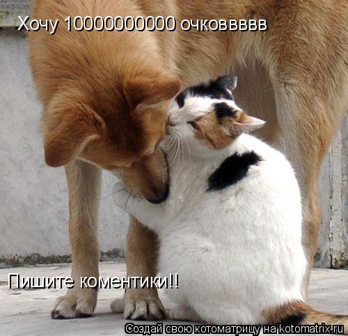 Пишите коментики!! Хочу 10000000000 очковвввв... Котоматрица: Пишите коментики!! Хочу 10000000000 очковвввв