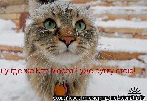 ну где же Кот Мороз? уже сутку стою!... Котоматрица: ну где же Кот Мороз? уже сутку стою!