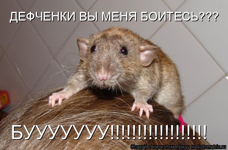 ДЕФЧЕНКИ ВЫ МЕНЯ БОИТЕСЬ??? БУУУУУУУ!!!!!!!!!!!!!!!!!!... Котоматрица: ДЕФЧЕНКИ ВЫ МЕНЯ БОИТЕСЬ??? БУУУУУУУ!!!!!!!!!!!!!!!!!!