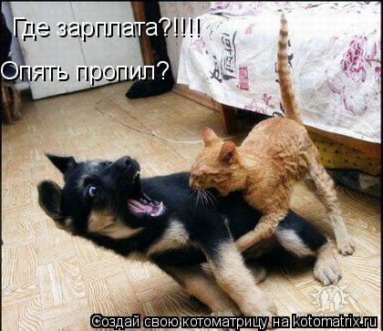 Где зарплата?!!!! Опять пропил?... Котоматрица: Где зарплата?!!!! Опять пропил?
