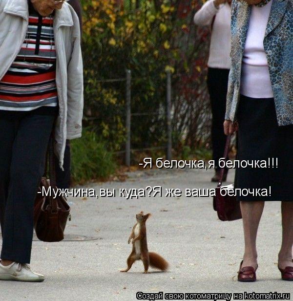 -Я белочка,я белочка!!! -Мужчина,вы куда?Я же ваша белочка!... Котоматрица: -Я белочка,я белочка!!! -Мужчина,вы куда?Я же ваша белочка!
