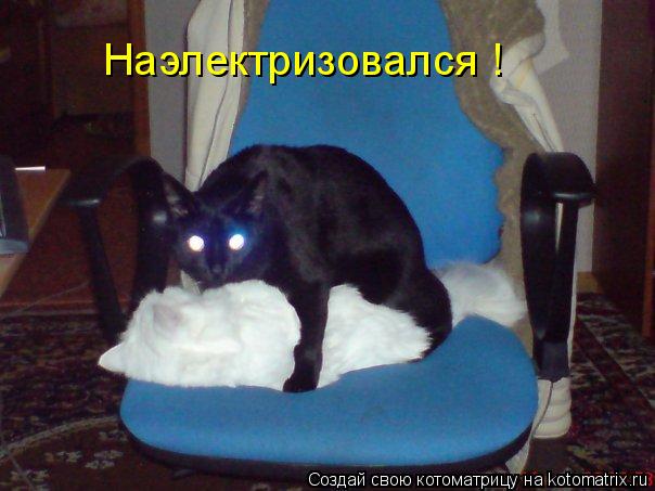 Котоматрица: Наэлектризовался !