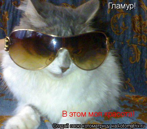 Гламур! В этом моя красота!... Котоматрица: Гламур! В этом моя красота!