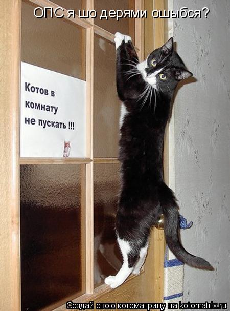 ОПС я шо дерями ошыбся?... Котоматрица: ОПС я шо дерями ошыбся?