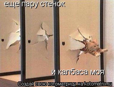 еще пару стенок и калбаса моя... Котоматрица: еще пару стенок и калбаса моя