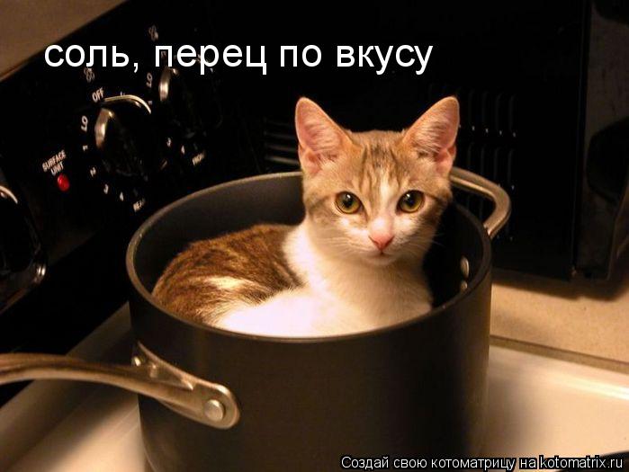 Котоматрица: соль, перец по вкусу