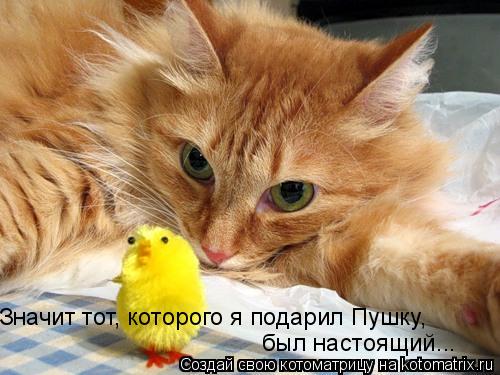 Значит тот, которого я подарил Пушку, был настоящий...... Котоматрица: Значит тот, которого я подарил Пушку, был настоящий...