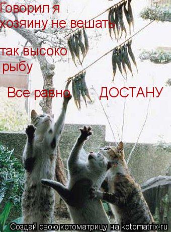 Говорил я хозяину не вешать так высоко рыбу Все равно ДОСТАНУ... Котоматрица: Говорил я хозяину не вешать так высоко рыбу Все равно ДОСТАНУ