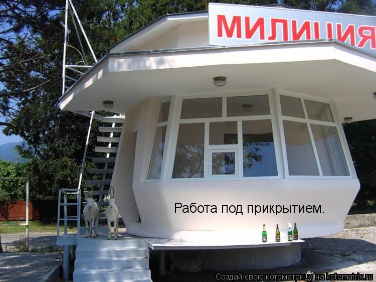 Работа под прикрытием.... Котоматрица: Работа под прикрытием.