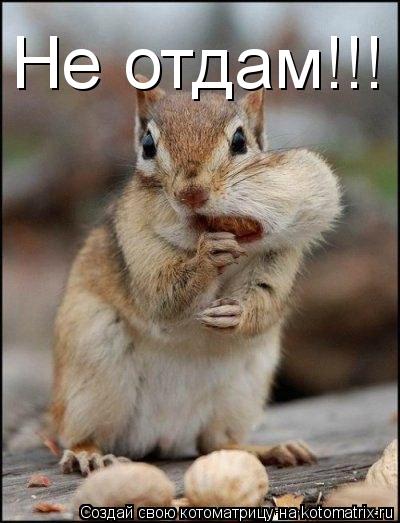 Не отдам!!!... Котоматрица: Не отдам!!!