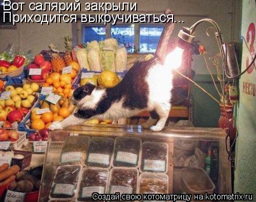Вот салярий закрыли Приходится выкручиваться...... Котоматрица: Вот салярий закрыли Приходится выкручиваться...