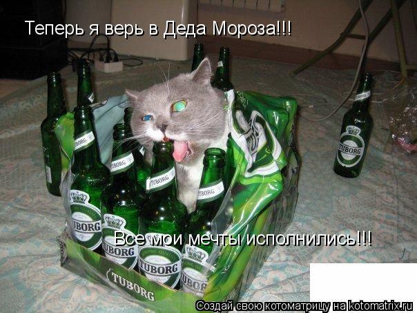 Теперь я верь в Деда Мороза!!! Все мои мечты исполнились!!!... Котоматрица: Теперь я верь в Деда Мороза!!! Все мои мечты исполнились!!!