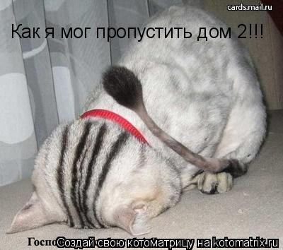 Котоматрица: Как я мог пропустить дом 2!!!