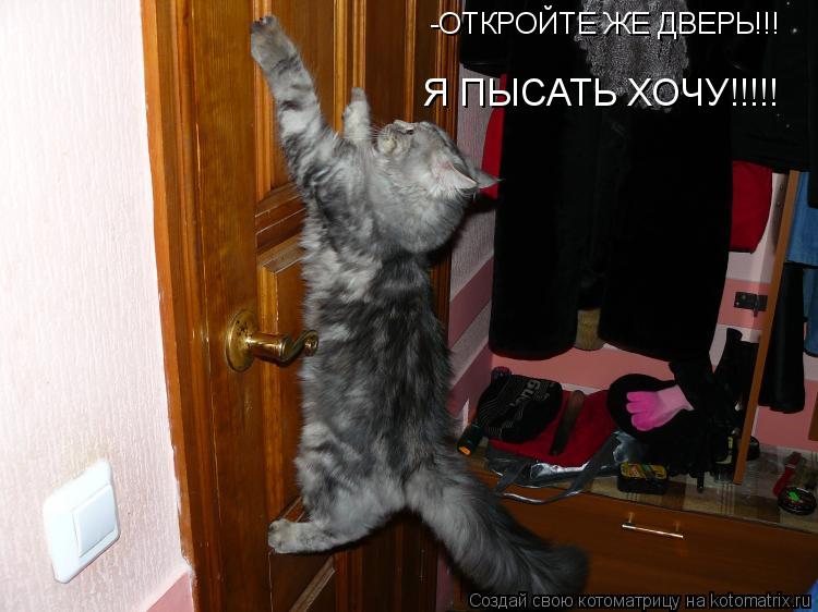-ОТКРОЙТЕ ЖЕ ДВЕРЬ!!! Я ПЫСАТЬ ХОЧУ!!!!!... Котоматрица: -ОТКРОЙТЕ ЖЕ ДВЕРЬ!!! Я ПЫСАТЬ ХОЧУ!!!!!
