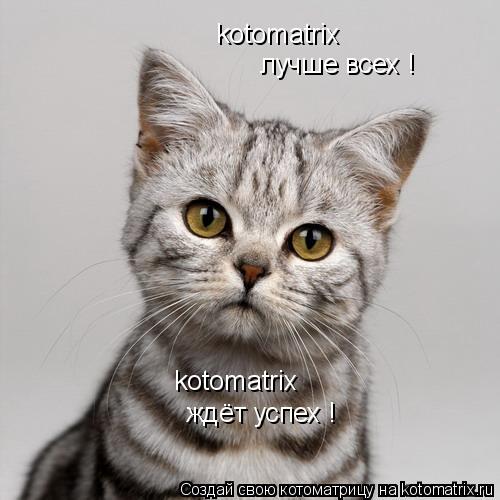 Котоматрица: kotomatrix лучше всех ! kotomatrix ждёт успех !