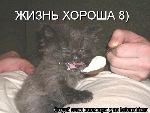 ЖИЗНЬ ХОРОША 8)... Котоматрица: ЖИЗНЬ ХОРОША 8)