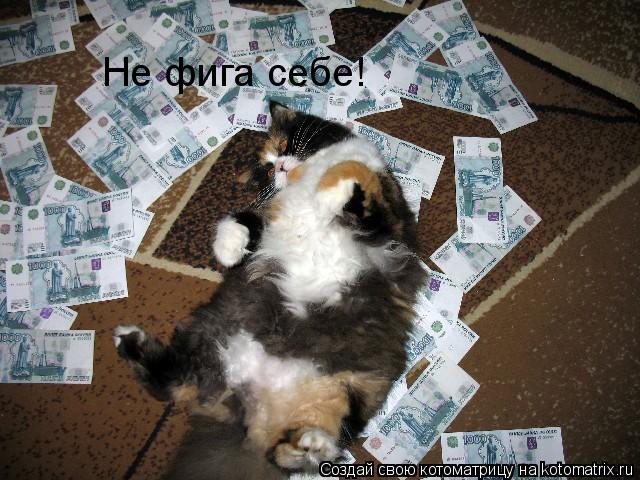 Не фига себе!... Котоматрица: Не фига себе!