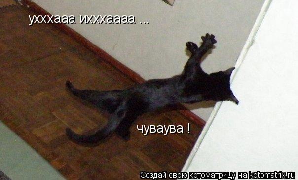 Котоматрица: ухххааа ихххаааа ... чуваува !