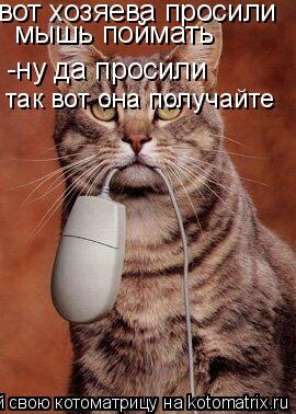 вот хозяева просили мышь поймать -ну да просили так вот она получайте... Котоматрица: вот хозяева просили мышь поймать -ну да просили так вот она получайте