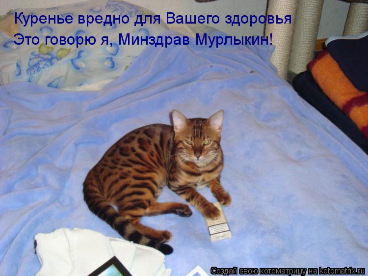 Куренье вредно для Вашего здоровья Это говорю я, Минздрав Мурлыкин!... Котоматрица: Куренье вредно для Вашего здоровья Это говорю я, Минздрав Мурлыкин!