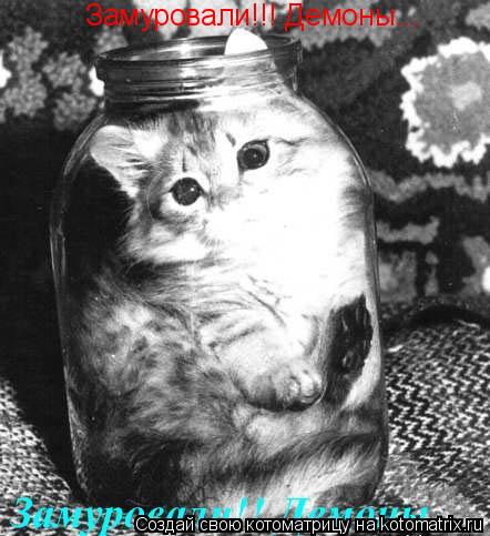 Котоматрица: Замуровали!!! Демоны...