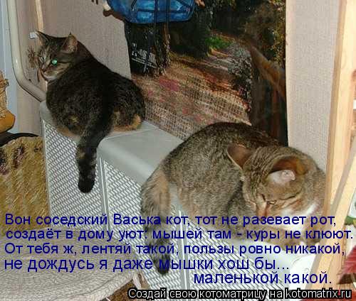 Вон соседский Васька кот, тот не разевает рот, создаёт в дому уют: мышей там - куры не клюют. От тебя... Котоматрица: Вон соседский Васька кот, тот не разевает рот, создаёт в дому уют: мышей там - куры не клюют. От тебя ж, лентяй такой, пользы ровно никакой, не д