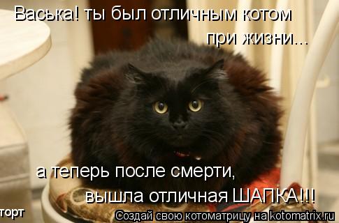 Васька! ты был отличным котом при жизни... а теперь после смерти, вышла отличная ШАПКА!!! торт... Котоматрица: Васька! ты был отличным котом при жизни... а теперь после смерти, вышла отличная ШАПКА!!! торт