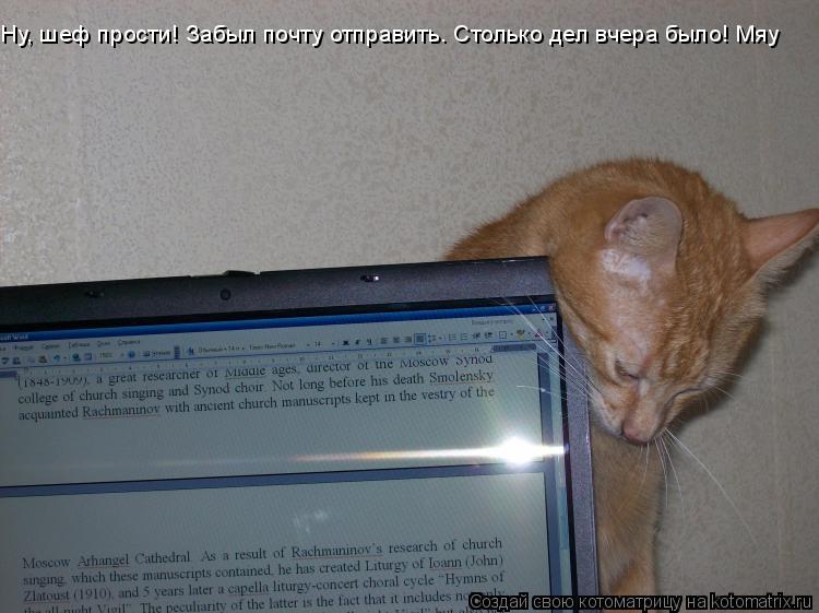 Ну, шеф прости! Забыл почту отправить. Столько дел вчера было! Мяу... Котоматрица: Ну, шеф прости! Забыл почту отправить. Столько дел вчера было! Мяу