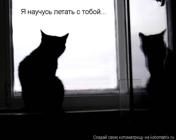 Я научусь летать с тобой...... Котоматрица: Я научусь летать с тобой...