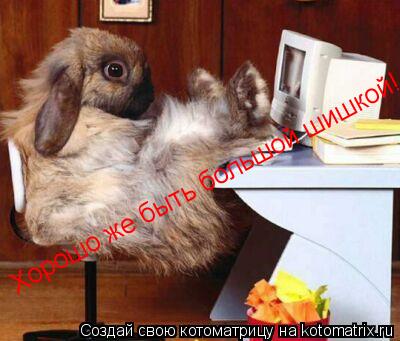 Хорошо же быть большой шишкой!... Котоматрица: Хорошо же быть большой шишкой!