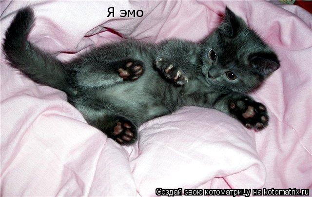 Я эмо... Котоматрица: Я эмо