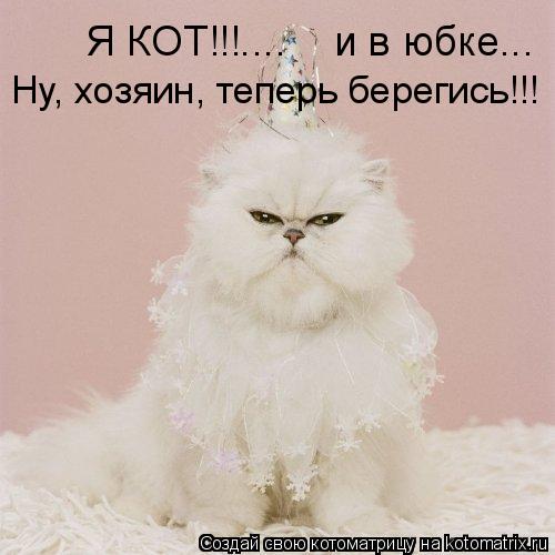Я КОТ!!!.... и в юбке... Ну, хозяин, теперь берегись!!!... Котоматрица: Я КОТ!!!.... и в юбке... Ну, хозяин, теперь берегись!!!