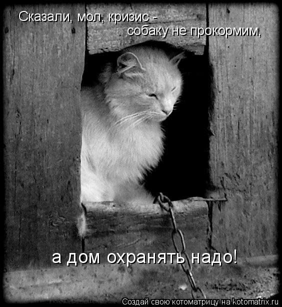 Сказали, мол, кризис - собаку не прокормим, а дом охранять надо!... Котоматрица: Сказали, мол, кризис - собаку не прокормим, а дом охранять надо!