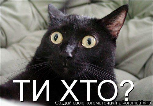 ТИ ХТО?... Котоматрица: ТИ ХТО?