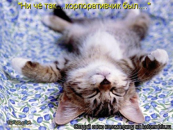 *Ни чё так....корпоративчик был....*... Котоматрица: *Ни чё так....корпоративчик был....*
