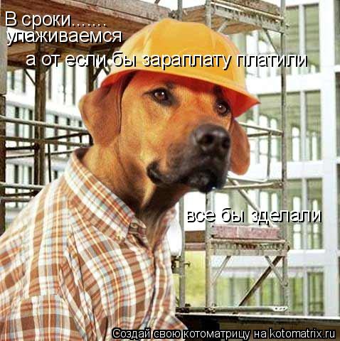 В сроки....... улаживаемся а от если бы зараплату платили все бы зделали... Котоматрица: В сроки....... улаживаемся а от если бы зараплату платили все бы зделали