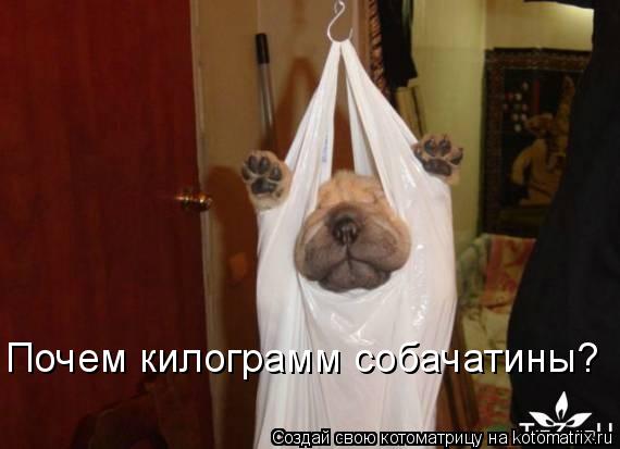Котоматрица: Почем килограмм собачатины?