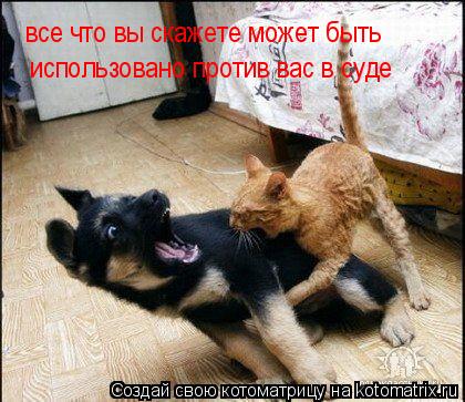 все что вы скажете может быть все что вы скажете может быть использовано против вас в суде использо... Котоматрица: все что вы скажете может быть все что вы скажете может быть использовано против вас в суде использовано против вас в суде