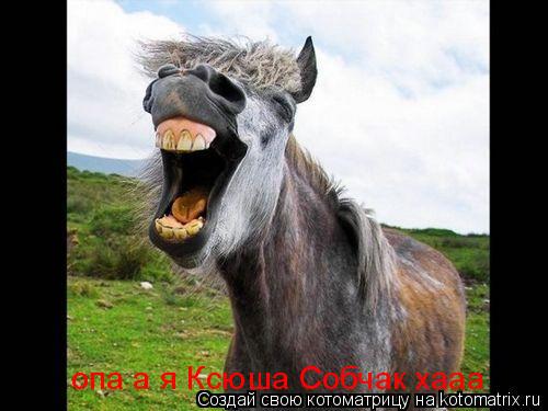Котоматрица: опа а я Ксюша Собчак хааа