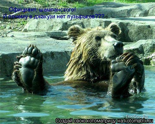 Официант, шампанского! И почему в джакузи нет пузырьков???... Котоматрица: Официант, шампанского! И почему в джакузи нет пузырьков???