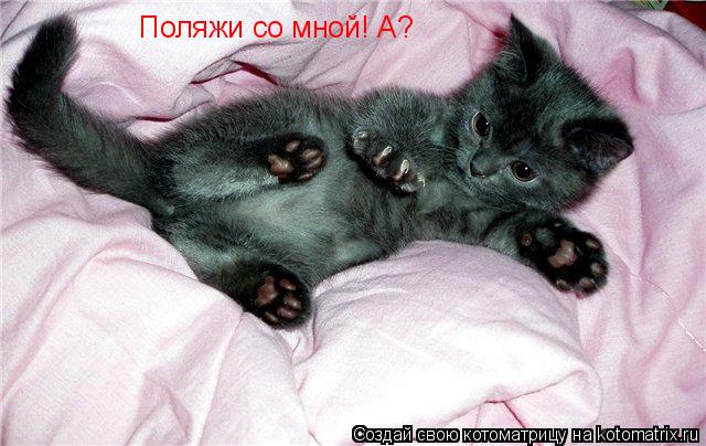 Поляжи со мной! А?... Котоматрица: Поляжи со мной! А?