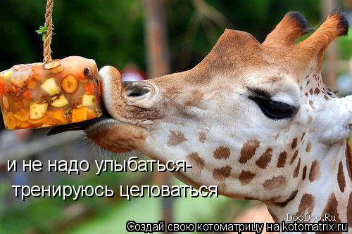 тренируюсь целоваться и не надо улыбаться-... Котоматрица: тренируюсь целоваться и не надо улыбаться-